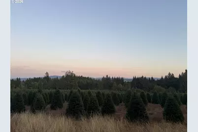 Se Beavercreek Rd, Colton, OR 97017 - Photo 5