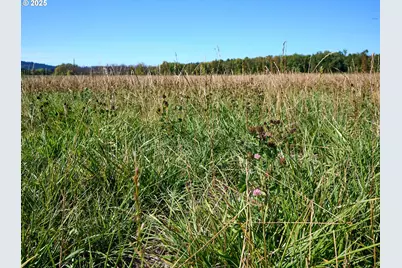 4481 Hennies Rd SE, Turner, OR 97392 - Photo 45