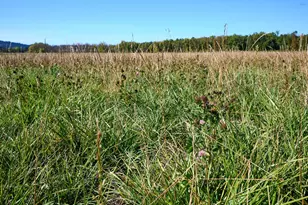 4481 Hennies Rd SE, Turner, OR 97392 - Photo 45