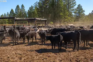 300 49 Rd Silverlake Hwy, Chiloquin, OR 97624 - Photo 35