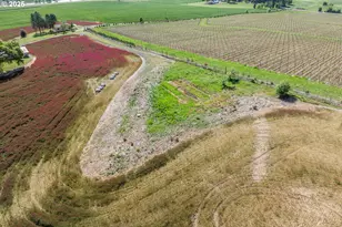 9030 NW Pike Rd, Yamhill, OR 97148 - Photo 41