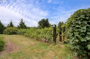 29901 NE Charity Rd, La Center, WA 98629 - Photo 41
