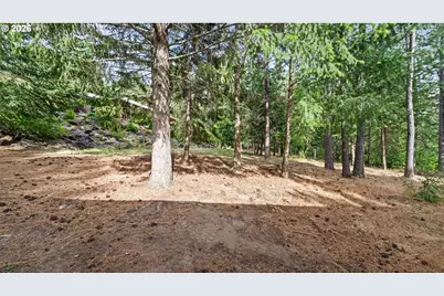 1135 N Touchet, Dayton, WA 99328 - Photo 43