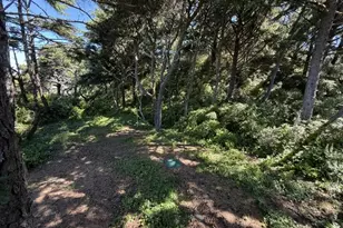 4567 Arch St, Florence, OR 97439 - Photo 25