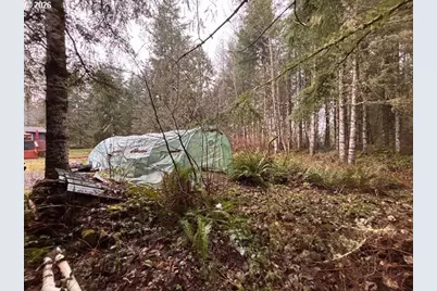 121 Atmore Rd, Toutle, WA 98649 - Photo 37
