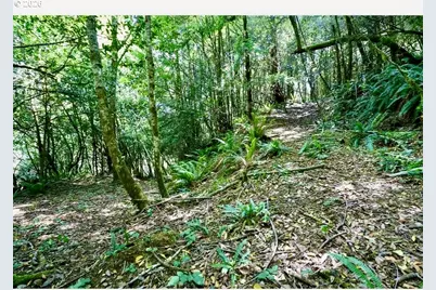 0 Stian Smith Rd., Coos Bay, OR 97420 - Photo 19