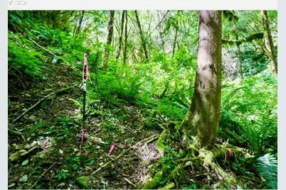 0 Stian Smith Rd., Coos Bay, OR 97420 - Photo 29