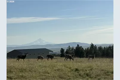 5 Adams Loop, Goldendale, WA 98620 - Photo 5