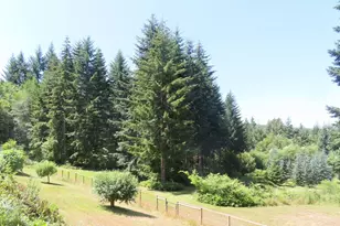 419 Meskill Rd, Chehalis, WA 98532 - Photo 21