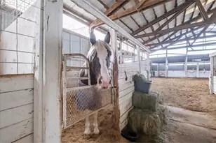 38742 Scravel Hill Rd, Albany, OR 97322 - Photo 15