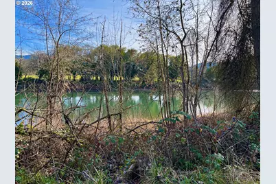 S Old Highway 99 S, Myrtle Creek, OR 97457 - Photo 7