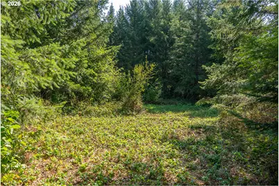Hawk Meadows Rd #2, Carson, WA 98610 - Photo 3