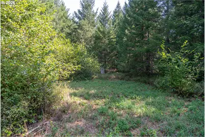 Hawk Meadows Rd #2, Carson, WA 98610 - Photo 5