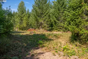Hawk Meadows Rd, Carson, WA 98610 - Photo 1