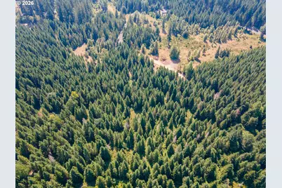 Hawk Meadows Rd #2, Carson, WA 98610 - Photo 19