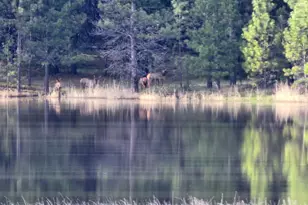 73210 Kingsbury Ln, Elgin, OR 97827 - Photo 35