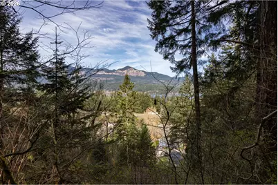 Dry Creek Rd, Cascade Locks, OR 97014 - Photo 15