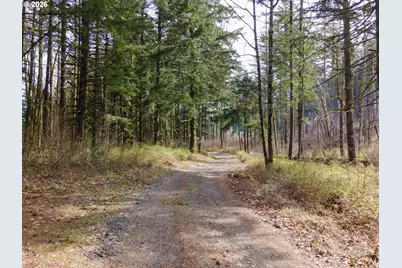 Dry Creek Rd, Cascade Locks, OR 97014 - Photo 11