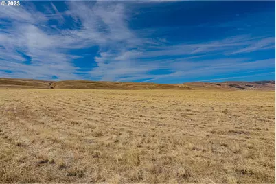 1602 Centerville Hwy, Centerville, WA 98613 - Photo 5