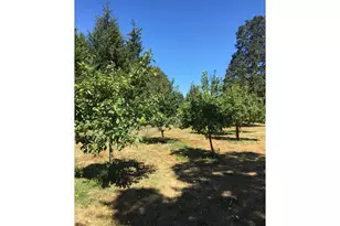 29821 Jeans Rd, Veneta, OR 97487 - Photo 35