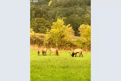 21101 SW Eagle Point Rd, McMinnville, OR 97128 - Photo 35