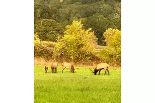 21101 SW Eagle Point Rd, McMinnville, OR 97128 - Photo 35