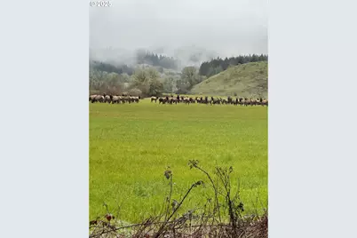 21101 SW Eagle Point Rd, McMinnville, OR 97128 - Photo 37