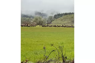 21101 SW Eagle Point Rd, McMinnville, OR 97128 - Photo 37