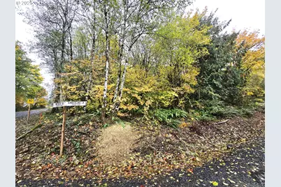 107 Kimberlund Ln, Onalaska, WA 98570 - Photo 7