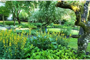 8175 SW Fairway Dr, Portland, OR 97225 - Photo 35