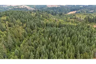 31431 Fairview Rd, Rainier, OR 97048 - Photo 43