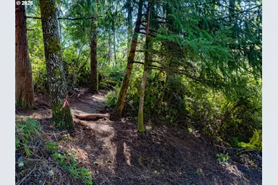 0 18th St #00903, Manzanita, OR 97130 - Photo 11