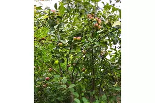 2120 NW 9th Ave, Battle Ground, WA 98604 - Photo 45