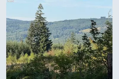 24304 NE Richards Rd, Brush Prairie, WA 98606 - Photo 43