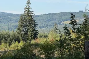 24304 NE Richards Rd, Brush Prairie, WA 98606 - Photo 43