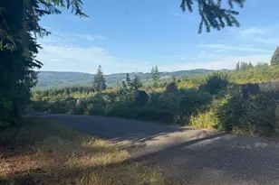 24304 NE Richards Rd, Brush Prairie, WA 98606 - Photo 47