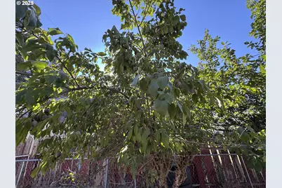 903 S Klickitat St, Goldendale, WA 98620 - Photo 5