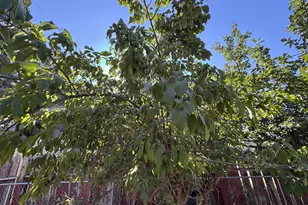 903 S Klickitat St, Goldendale, WA 98620 - Photo 5