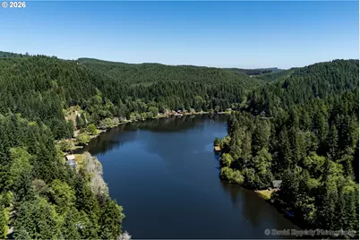9958 Beach Dr, Birkenfeld, OR 97016 - Photo 33