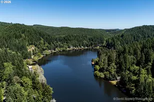 9958 Beach Dr, Birkenfeld, OR 97016 - Photo 33