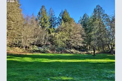 301 Winston Creek Rd, Mossyrock, WA 98564 - Photo 3