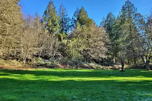 301 Winston Creek Rd, Mossyrock, WA 98564 - Photo 3