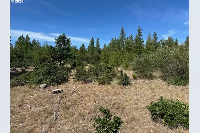 0 Section 5, Goldendale, WA 98620 - Photo 5