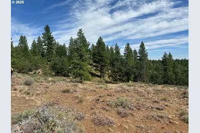 0 Section 5, Goldendale, WA 98620 - Photo 3