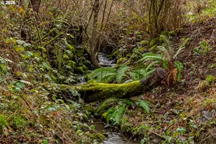 3320 Videra Dr, Eugene, OR 97405 - Photo 39
