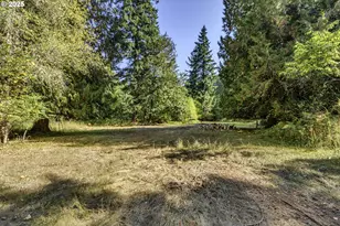 27810 NW Timber Rd, Timber, OR 97144 - Photo 37