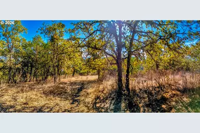 0 NE Rocky Dr, Roseburg, OR 97470 - Photo 21