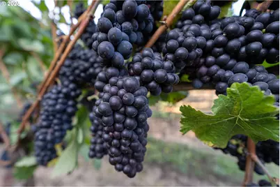 24730 SW Tile Flat Rd, Hillsboro, OR 97123 - Photo 37