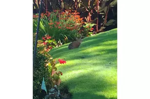 16755 Graef Cir, Lake Oswego, OR 97035 - Photo 43