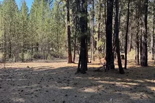Green Forest Dr, Chiloquin, OR 97624 - Photo 1